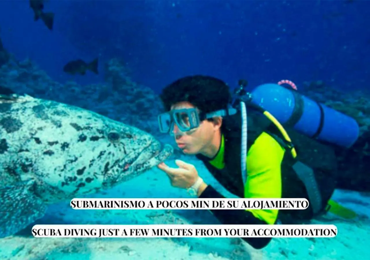 Apartalux Sublime Plus Las Negras 0*,